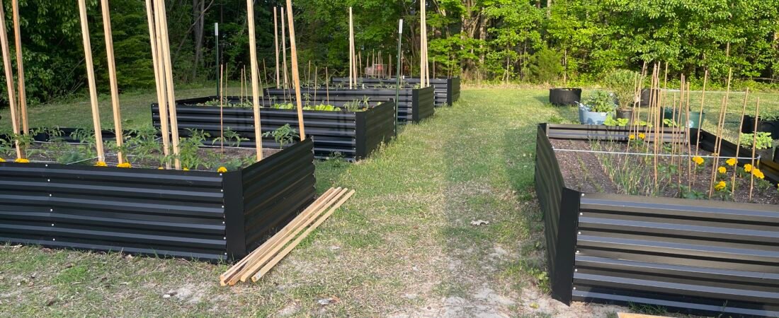 How to Plan Your Garden Without Feeling Overwhelmed