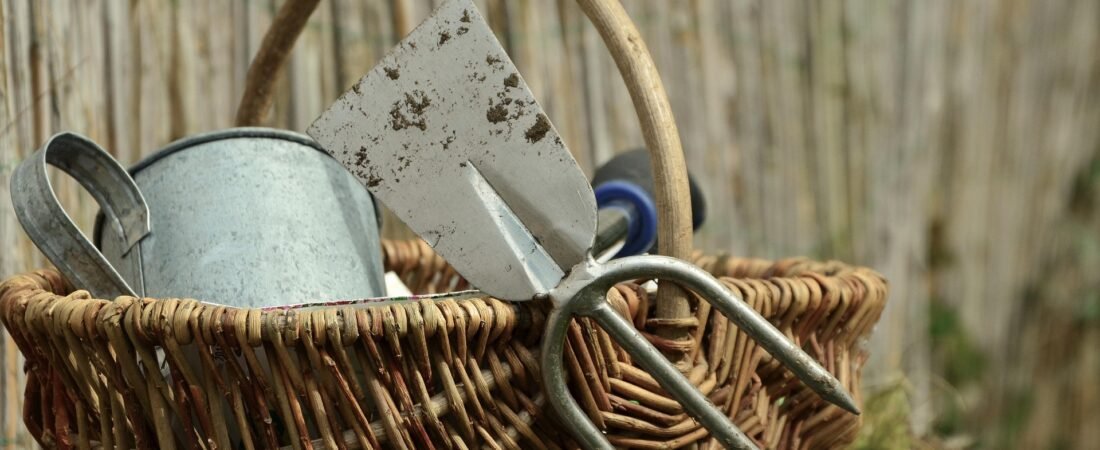 Beginner Gardening Supplies You Actually Need (And What You Can Skip)